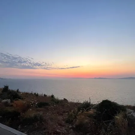 Xenia's Independent Near Old Town Of Rodos. Rhodes City